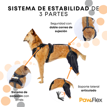 PawFlex™ - Rodillera Ortopédica para Perros