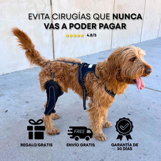 PawFlex™ - Rodillera Ortopédica para Perros
